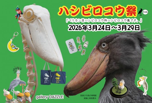 ハシビロコウ祭り2026 ハシビロコウ祭り2026